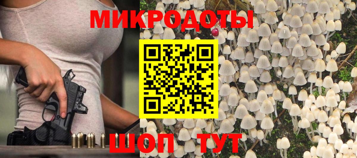 Псилоцибиновые грибы мицелий Сердобск